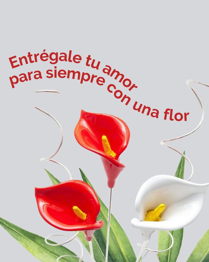 Catálogo Argentaria en Lima | Regálale tu amor  | 30/4/2024 - 5/5/2024
