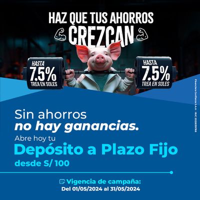 Catálogo Financiera Confianza en Huancayo | Ofertas  | 9/5/2024 - 31/5/2024