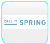 Logo Call it Spring