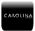 Logo Carolina Store