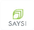 Logo Saysi